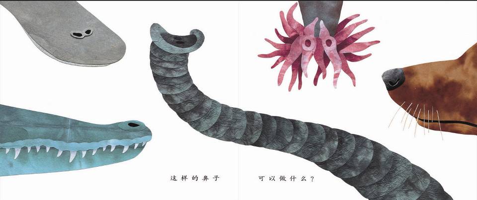 这样的尾巴可以做什么 (03),绘本,绘本故事,绘本阅读,故事书,童书,图画书,课外阅读